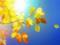 It became clear if it gets warmer in Ukraine