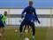 Lonwijk, Benito and Vivcharenko play from the first airs against Dnipro-1
