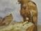 Вчені виявили останки древніх гігантських орлів, як у «Володарі кілець»