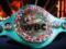  Пока нет бокса в Украине : WBC не будет санкционировать бой российского боксера за звание абсолютного чемпиона мира