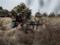 War, day 424. One battalion of the Patriot air defense system has already taken up the battlefield in Ukraine