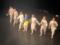 Киевский Молодой театр выступил на Шекспировском фестивале в Британии
