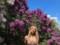 Lesya Nikityuk in a short top arranged a photo shoot among the blooming lilacs