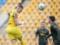 Officially: the champion of Ukraine won the group stage of the League of Champions