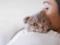 Cat Allergy: Causes, Symptoms and Management