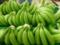 Необычное свойство зеленых бананов