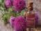 Wonderful power of rose thistle