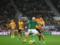 Wolverhampton – Newcastle 2:2 Video of goals and review of the Premier League match
