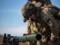 War, day 621. Borrell called to prevent the decline of respect for Ukraine and the unity of its allies among its followers