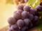 Виноград: эффективная диета для стройности и здоровья