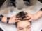 Чистота і здоров я волосся: як ефективно очистити гребінець