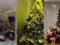 Новогодние елки звезд: у Гвоздевой – помпезная, а у Мирошниченко – стильная