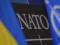 Ukraine on the road to NATO: Promotion of over 300 standards
