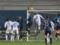 Atalanta defeated Frosinone