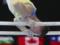 Украинские гимнасты завоевали три медали на первом в сезоне этапе Кубка мира