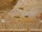 Археологи нашли в Египте гробницу жрицы и чиновника, украшенную богатыми росписями