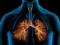 Продукти, що сповільнюють старіння легень: Як зберегти здоров я дихальної системи