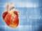 A simple way to prevent heart failure: key clues are now being revealed