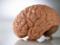 Влияние питания на работу мозга: Какие витамины являются наилучшими