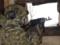 ГПСУ фиксирует снижение попыток захода российских ДРГ на территорию Украины