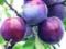 Useful sweets for the body and figures