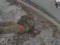 Deviation of the DPRK troops from Kurt: Intelligence South Korea called the reason