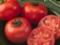 Продукты, которые помогут сохранить стройность летом