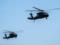 Польша отказалась от покупки американских вертолетов Black Hawk