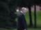 Путин сократил бюджет после падения нефтяных доходов