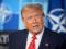 Трамп прокомментировал встречу с Зеленским