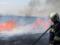 На Полтавщине пожар уничтожил поле зерновых
