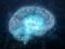 Уровень IQ не влияет на успех: нейробиолог назвал главную черту высокоинтеллектуальных людей