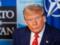  У него не будет выбора : Трамп назвал цену на нефть, которая может остановить Путина