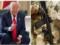 Итоги 05.08: Угрозы Трампа РФ и изменения в ВСУ