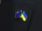 Половина украинцев верят в процветание Украины в ЕС через 10 лет, но пессимисты указывают на коррупцию – КМИС