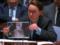 На Совбезе ООН показали фотографии замученных украинских детей