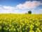 Holidays May 28, 2026: facts and signs